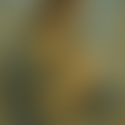 O Puerpério na Visão Junguiana - Um mergulho simbólico na travessia entre mulher e mãe