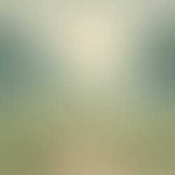 O caminho da liberdade interna