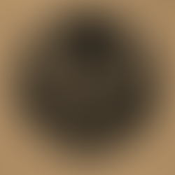 Desvendando o mundo psíquico, um olhar junguiano - Abraxas como símbolo da totalidade