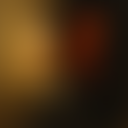 A Ilusão da Razão Absoluta