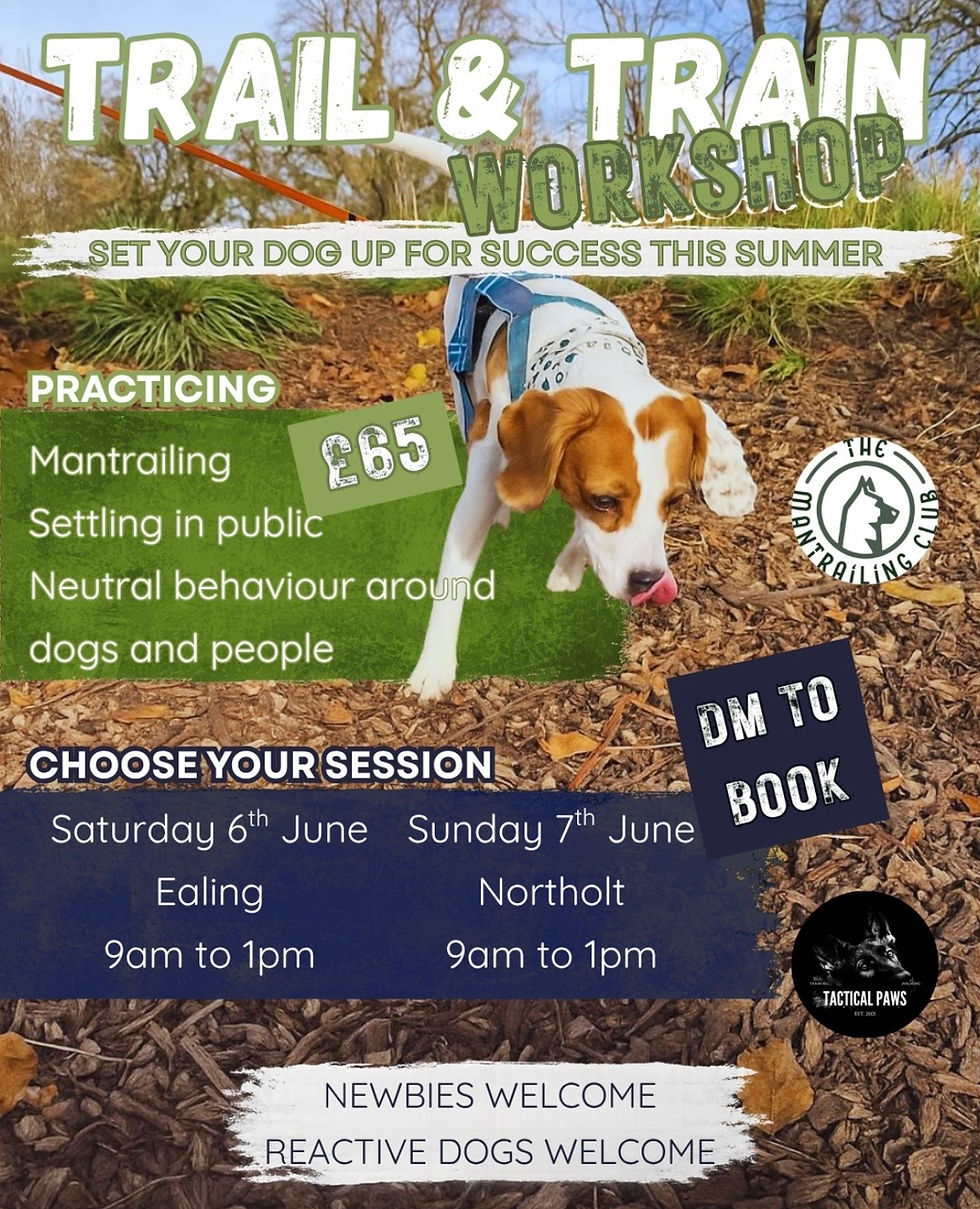Why We’re Running Our Trail & Train Workshop This June