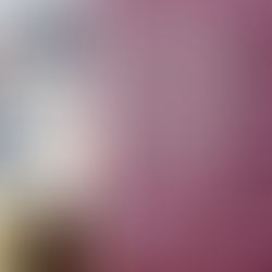 recensione di Elisa - Feel House Real Estate