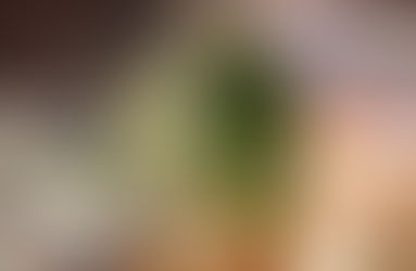 Sai cosa dice la finanziaria sulla casa?