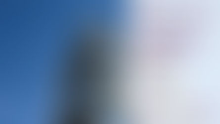 La recensione di Fabio: seri e competenti