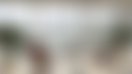 La nuda proprietà non gode dei benefici "prima casa"