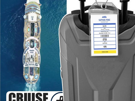 Princess Cruise Luggage Tag Holder by Cruise On [4 Pack] Fits All Princess Ships & Tags, Cruise Essentials 2025 & 2026 - Clear Luggage Tags