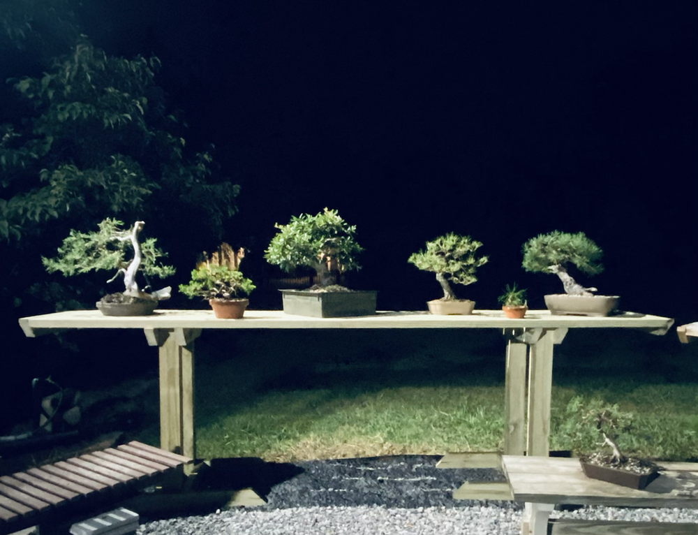 How to Build a Bonsai Bench Step by Step Instructions LaptrinhX / News