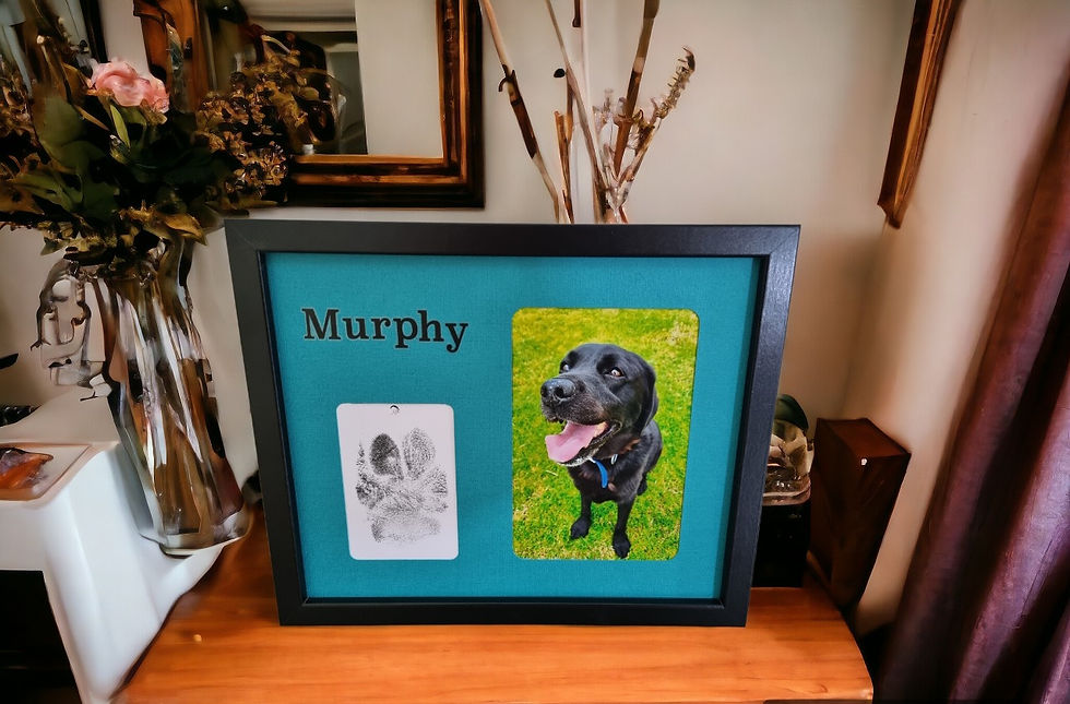 Framed pawprint with photo