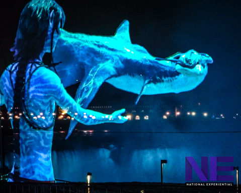 Avatar - Niagara Falls - Holo Scrim Projection & Drone Show-17.JPG