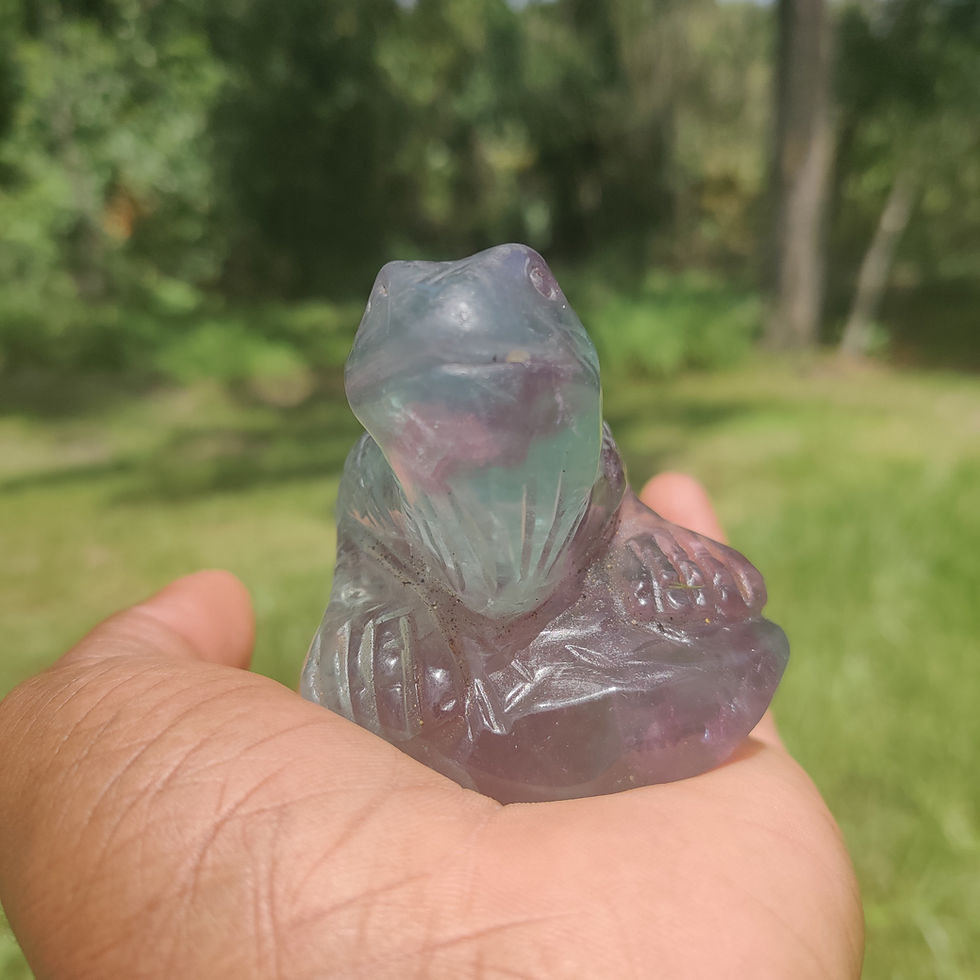 Thumbnail: Watermelon Fluorite Iguana 