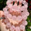 Thumbnail: Rose Quartz Bracelet  - 16mm