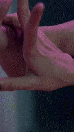 Desarmarnos el cuerpo Canva PRUEBA GIF ‐ Hecho con Clipchamp.gif