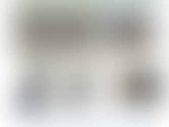 CPI Newsletter for 4th Qtr 2024