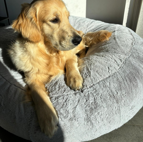Voir les donuts déhoussables