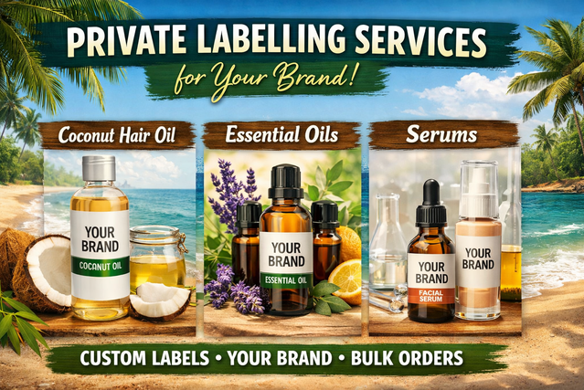 ChatGPT Image Dec 26, 2025, 07_47_23 AM.png