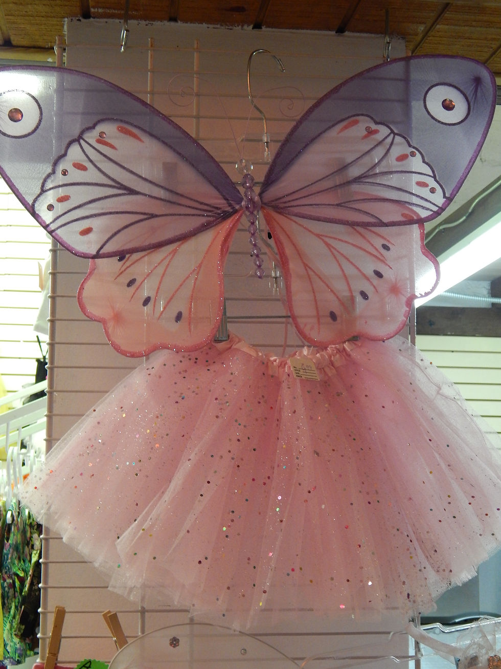 light pink tutu and pink and purple fairy wings.JPG