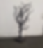 ITEM: BARREN LIFESIZE TREE
QUANTITY: 1
PRICE: $15/DAY
DESCRIPTION: 17.7"D X 17.7"W X 29.5"H
CATEGORY: HALLOWEEN