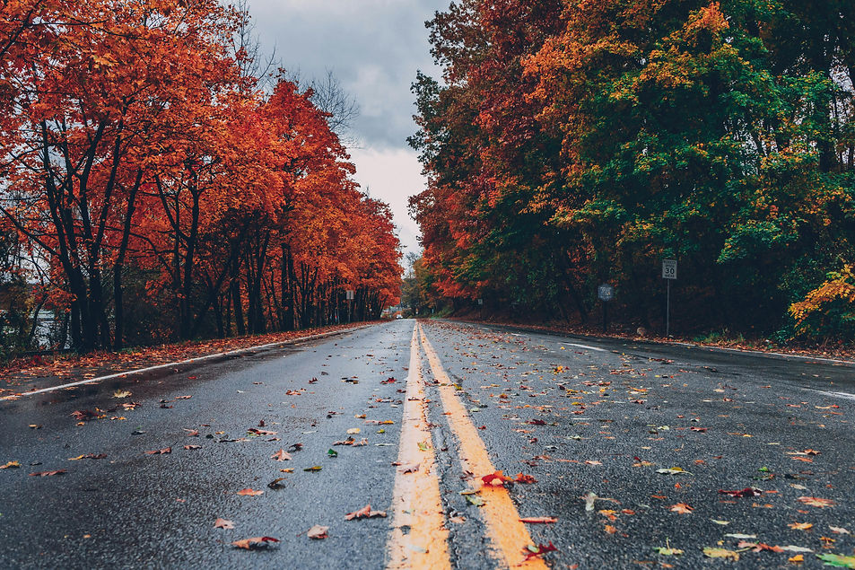 pexels-thatguycraig000-1563356.jpg