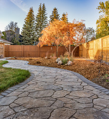 paving stones, grass, trees, backyard, turf, path, stone, pavers