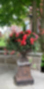 SUMMER BEGONIAS IN A PLANTER.jpg