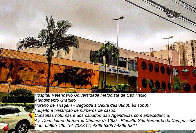 Hospital veterinário Gratuíto