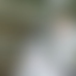 UNIVERSIDAD CME SESIÓN EN LÍNEA DE LA LICENCIATURA EN COSMETOLOGÍA.