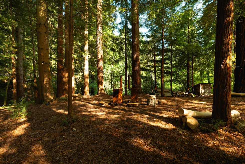 ag events in teh wood.jpg