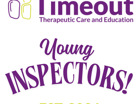 Seeing Care Through a Child’s Eyes: Introducing the Young Inspectors Program