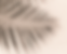 Moodboard (1).png