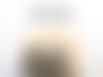 Hasta Shravana: The Road to the Next Decade in Dholera’s Growth Story