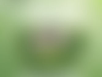 Dholera Residential Growth: How a Rapidly Expanding Community Is Shaping the Future of Your Investment