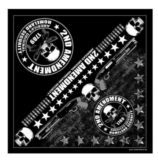 2ND AMENDMENT AMERICA'S ORIGINAL HOMELAND SECURITY