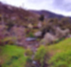 Piodao