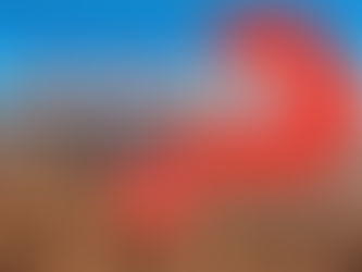 Doe je mee aan de Alpha cursus?