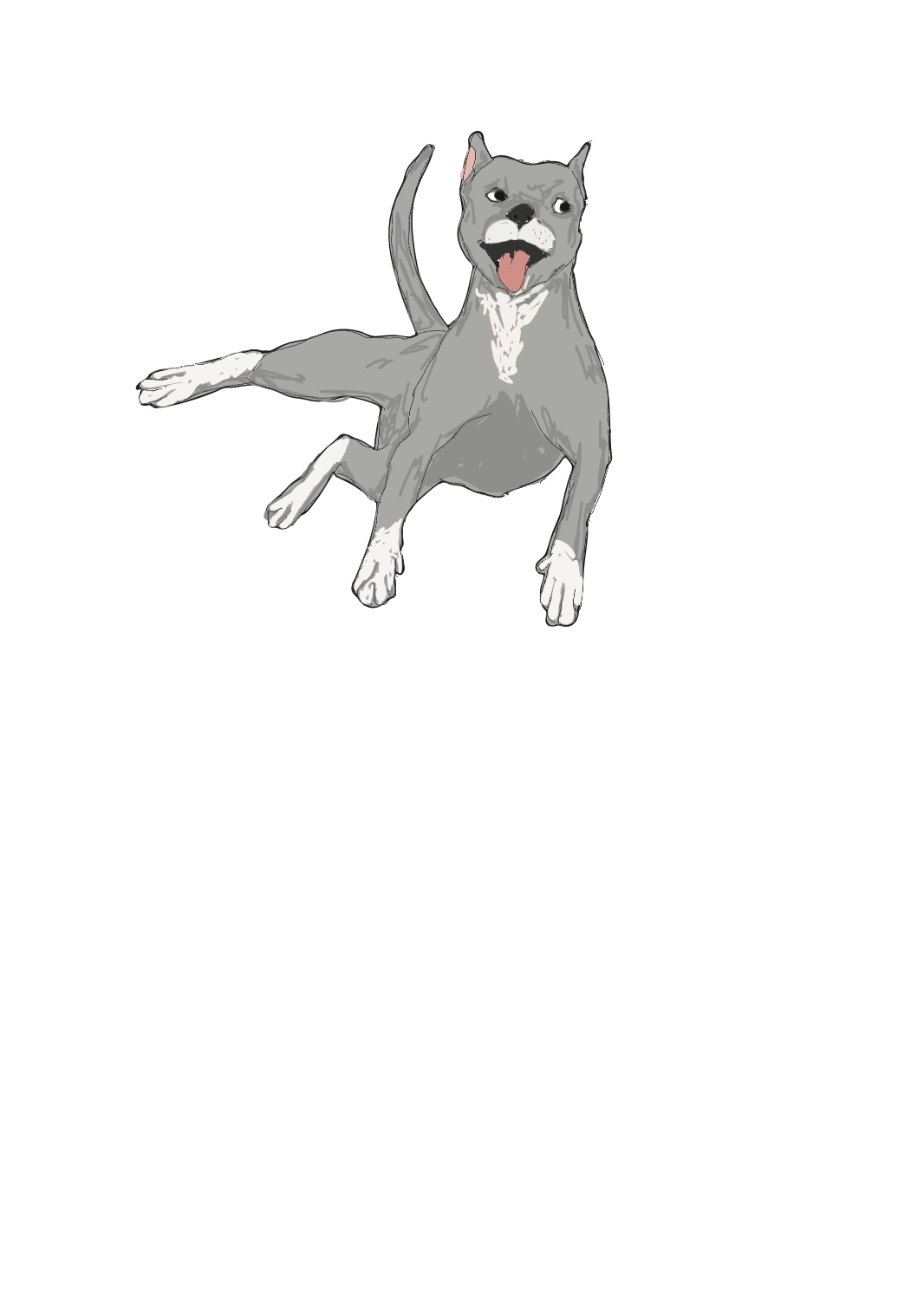 Flying Dog Greeting Card