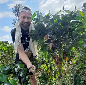 Lugares únicos entre el cielo y los cafetales que dan origen a un café de primera calidad. En medio de un mágico e inolvidable paisaje, conozca el lugar de cultivo, selección, producción y catación.