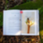 Thumbnail: Growing with nature book