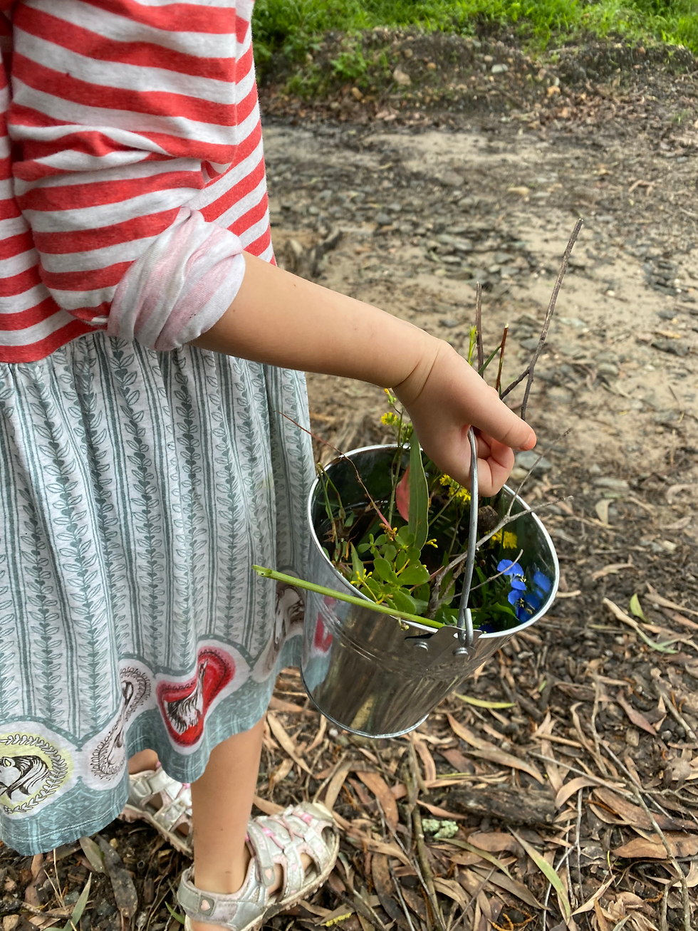 NATURE SCHOOL - TERM 4