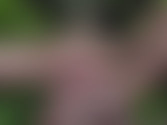 Educators participating in a place-based storytelling workshop at Big Scrub Nature Play, Noosa.