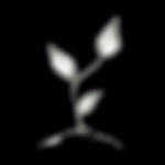 icon-seedling.jpeg