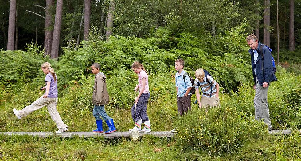 GRATITUDE NATURE WALK