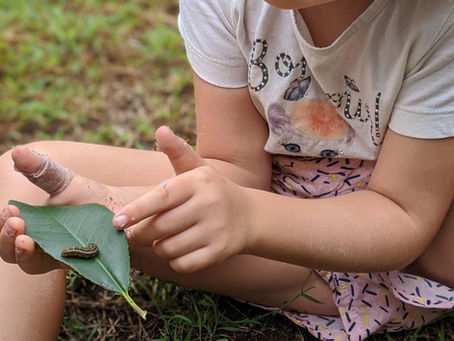 The Art of Silent Mentoring