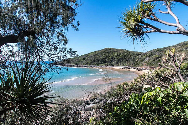 Noosa04066.jpeg