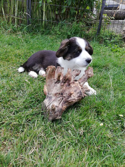 IMG_20230706_130234(1)