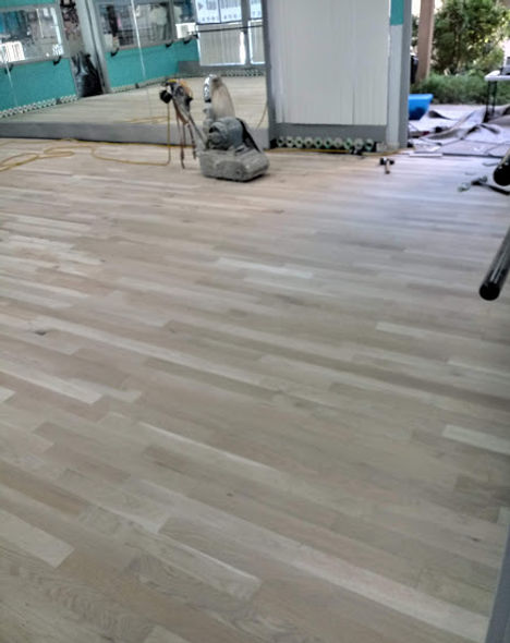 20181228_124717_HDR.jpg
