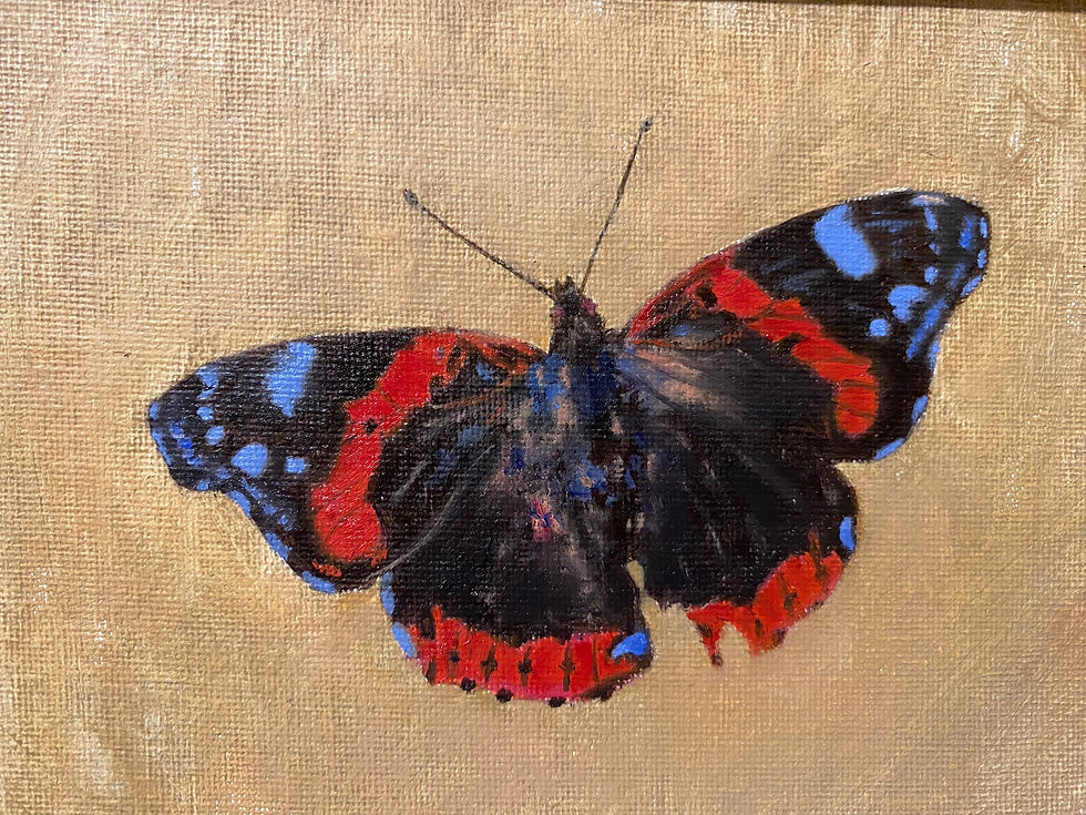 Thumbnail: Butterfly Study 2