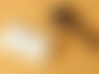 Tu tienes la llave de tú vida !!