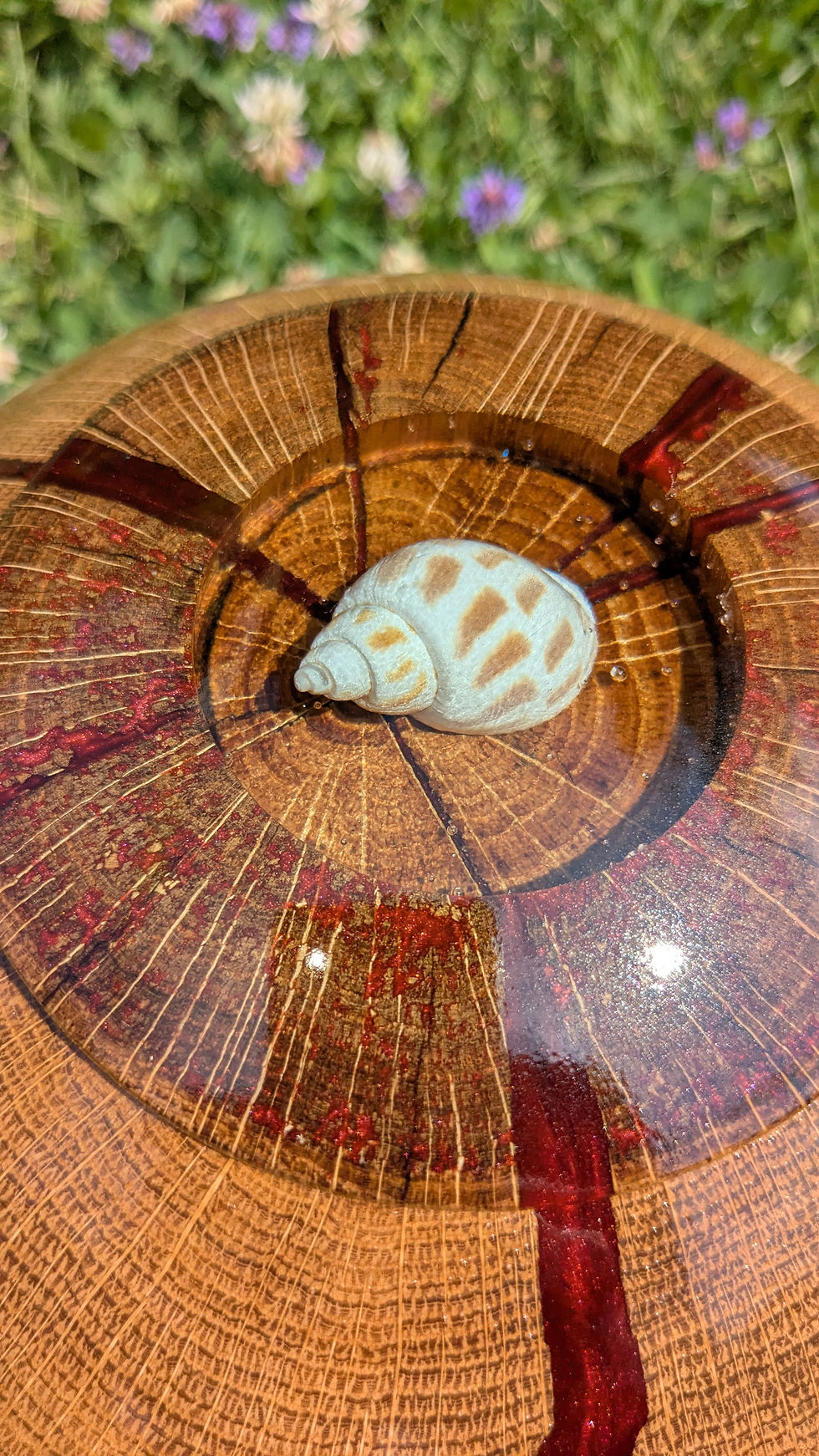 Miniaturbild: Kugelurne Eiche mit rotem Epoxydharz
