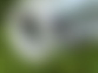 The Beauty and Benefits of Clear Tarpaulin Sheet