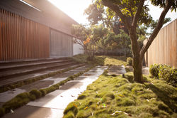 Architecture - Pitsou Kedem